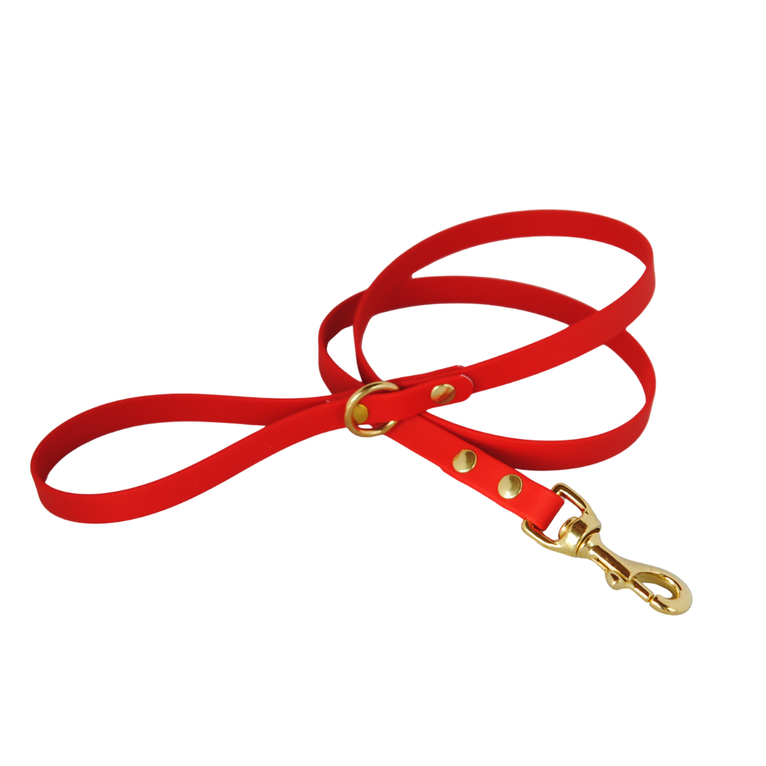 Laisse Minimaliste - 5/8 po