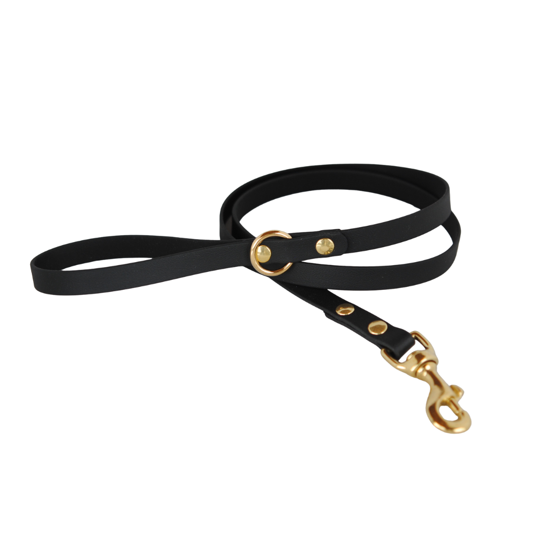 Laisse Minimaliste - 5/8 po