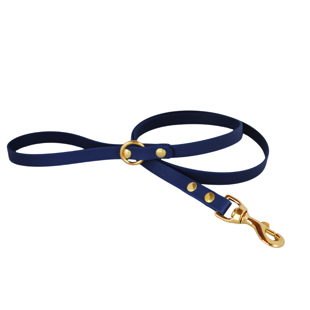 Laisse Minimaliste - 5/8 po