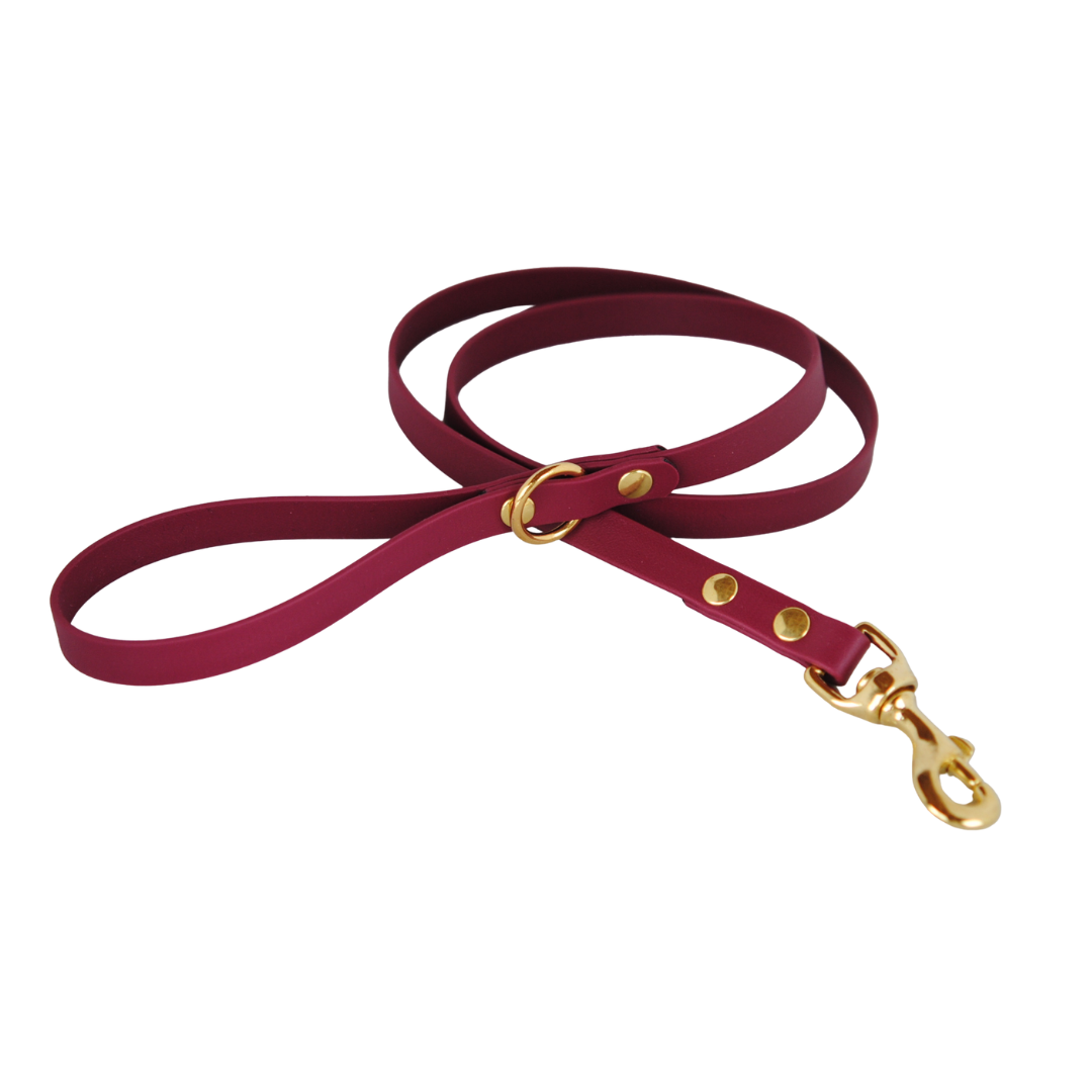 Laisse Minimaliste - 5/8 po