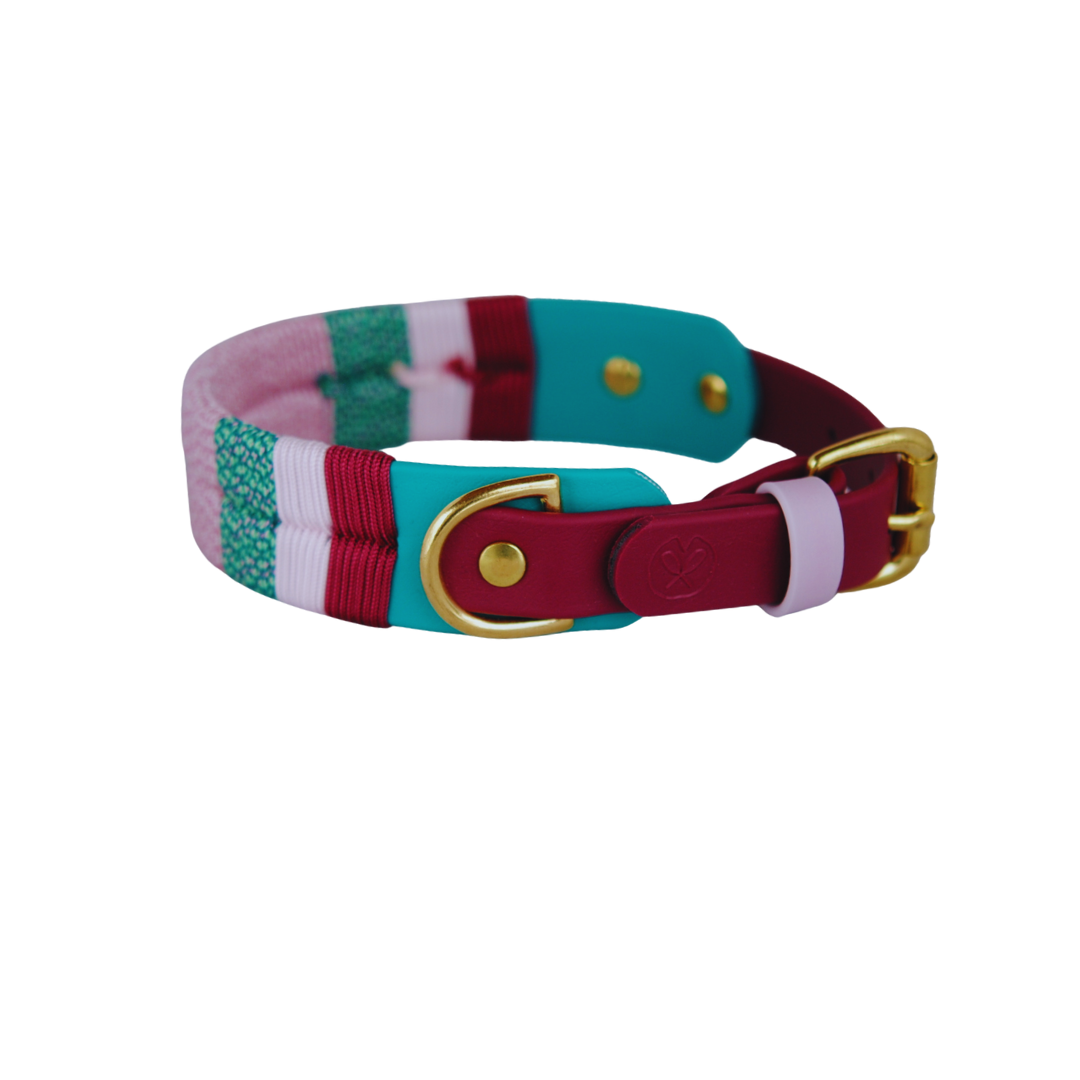 Collier Shasta - 1 po ½ Ficelles