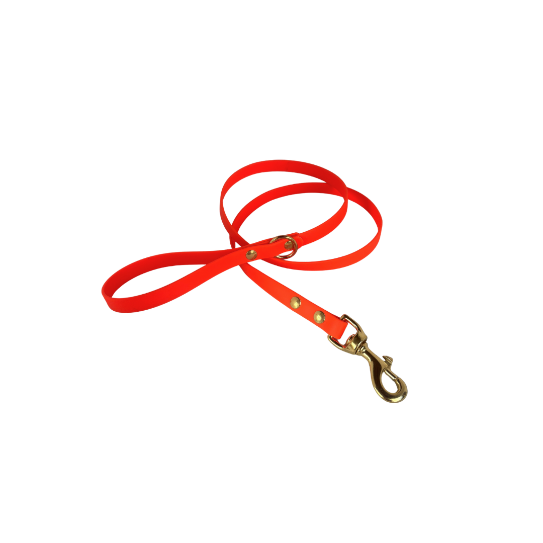 Laisse Minimaliste - 5/8 po