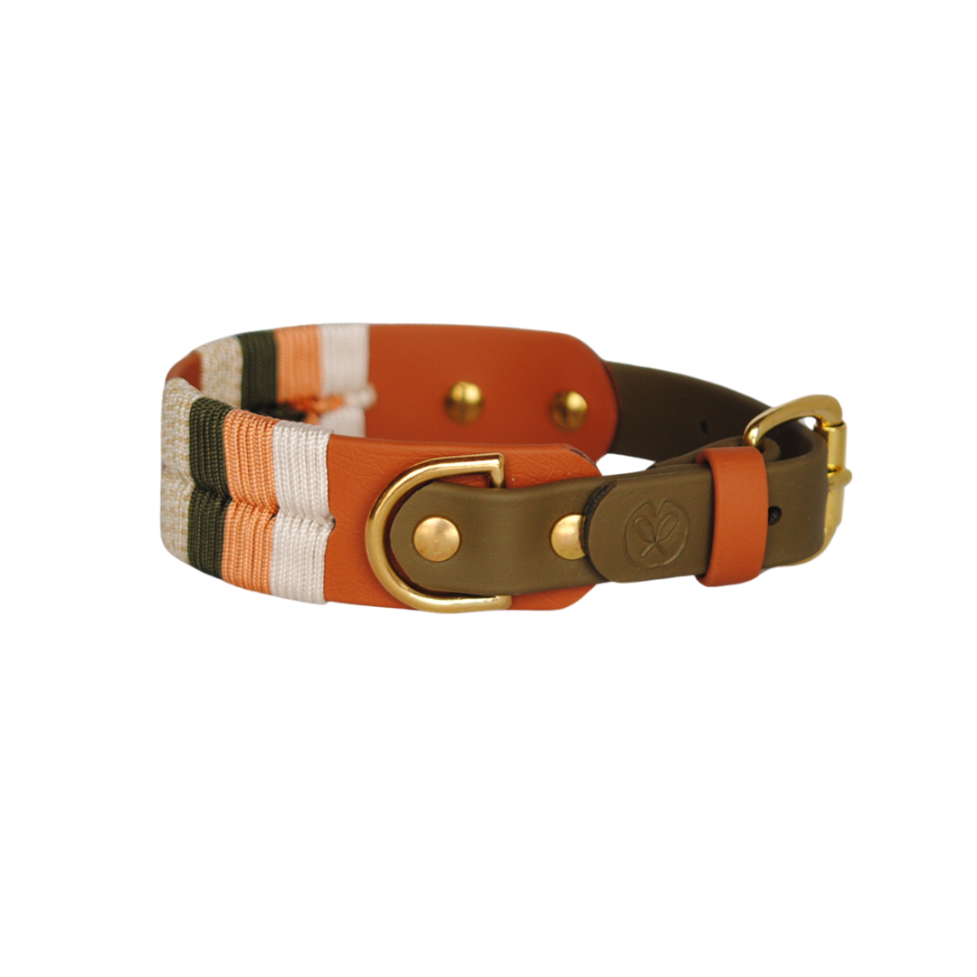 Collier Colville - 1 po ½