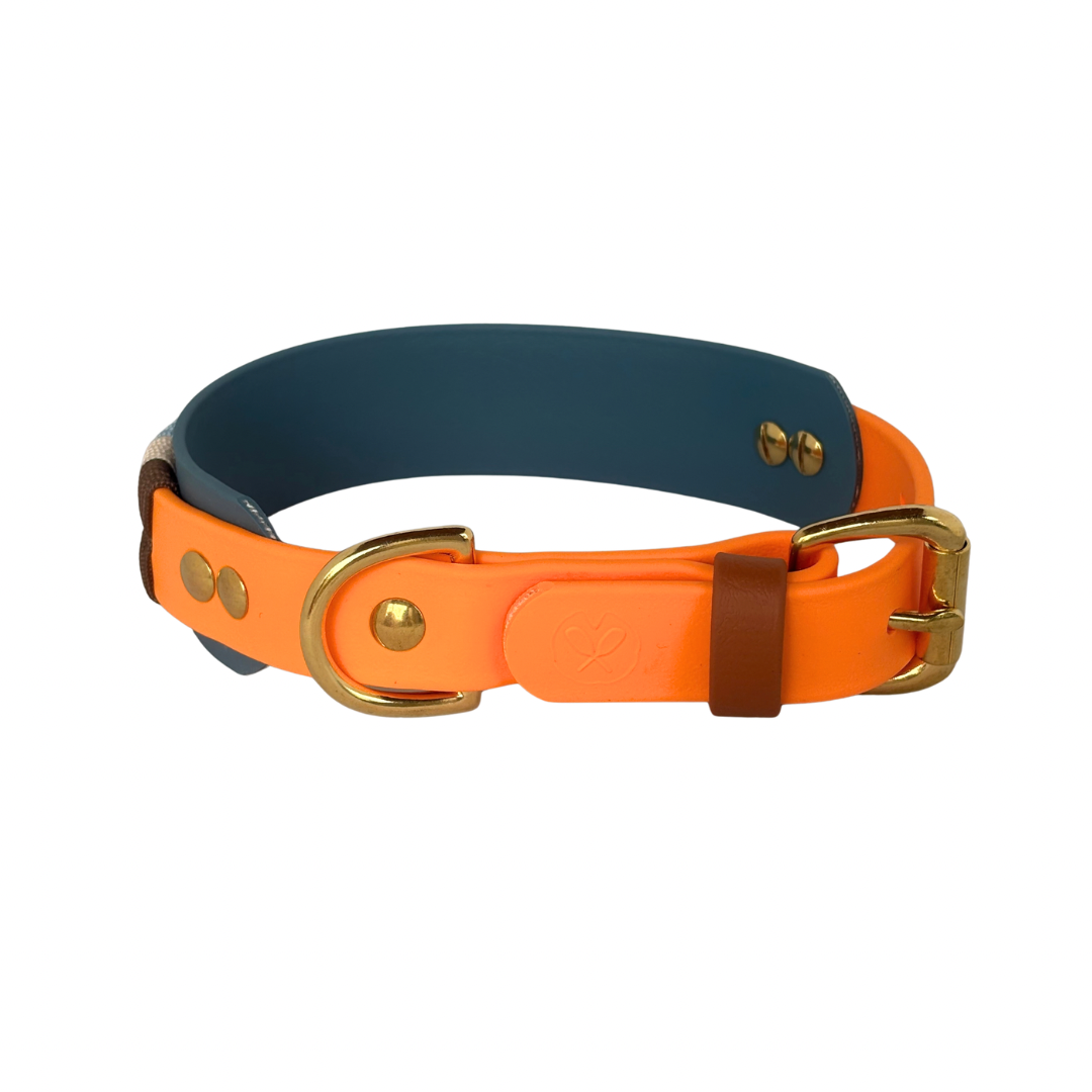 Collier Crabbe - 1 po, et bande 1 po 1/2