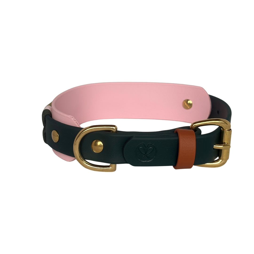 Collier Lucania- 1 po, et bande 1 po 1/2