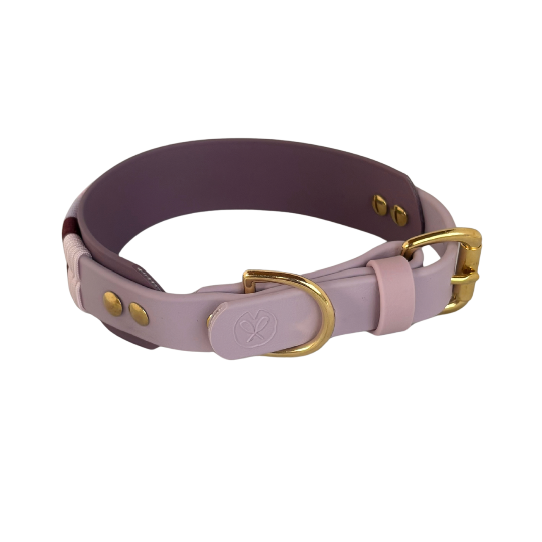 Collier Écluse - 1 po, et bande 1 po 1/2