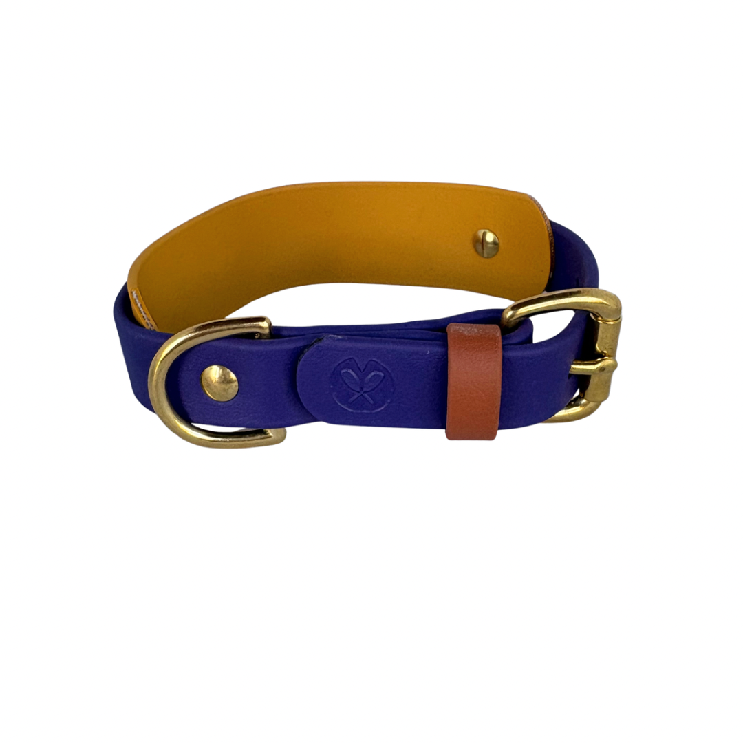 Collier Bavarian - 1 po, et bande 1 po 1/2