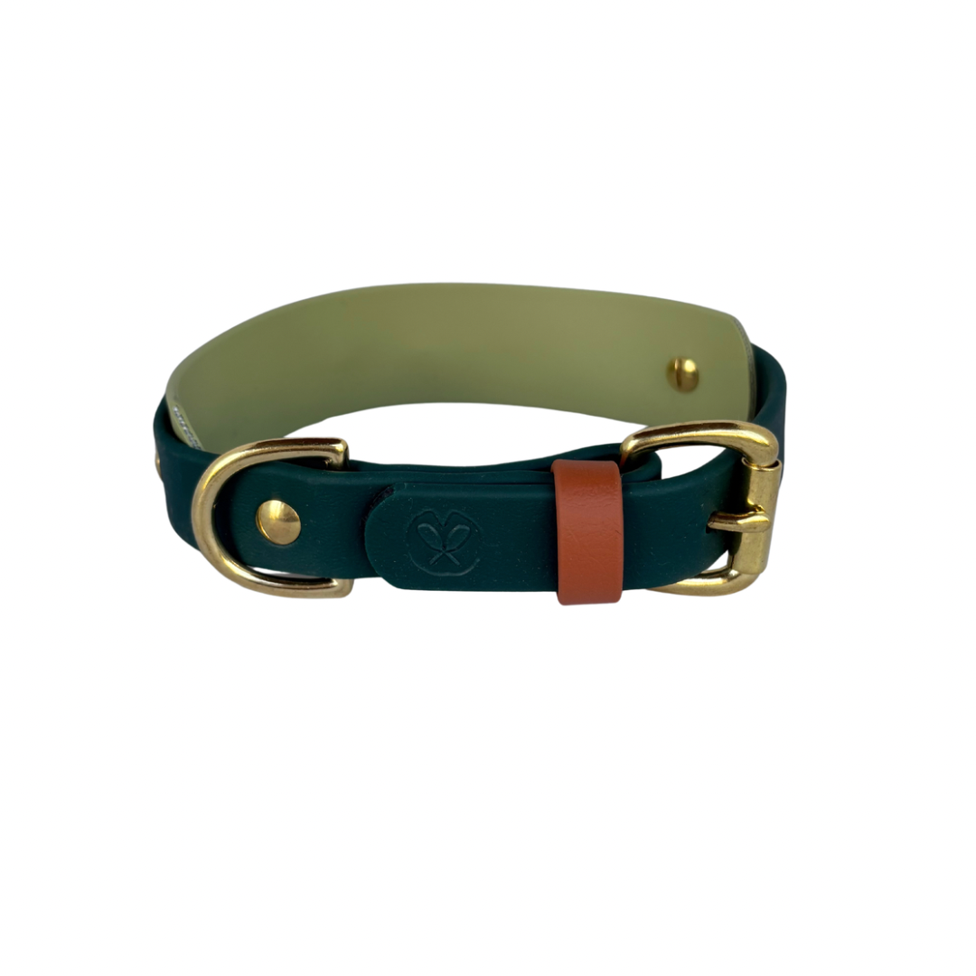 Collier Avocado - 1 po, et bande 1 po 1/2