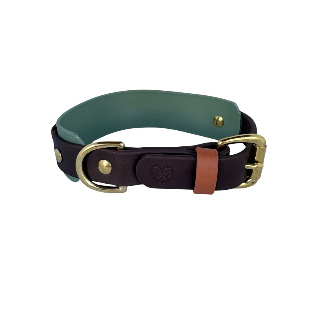 Collier Foggy - 1 po, et bande 1 po 1/2