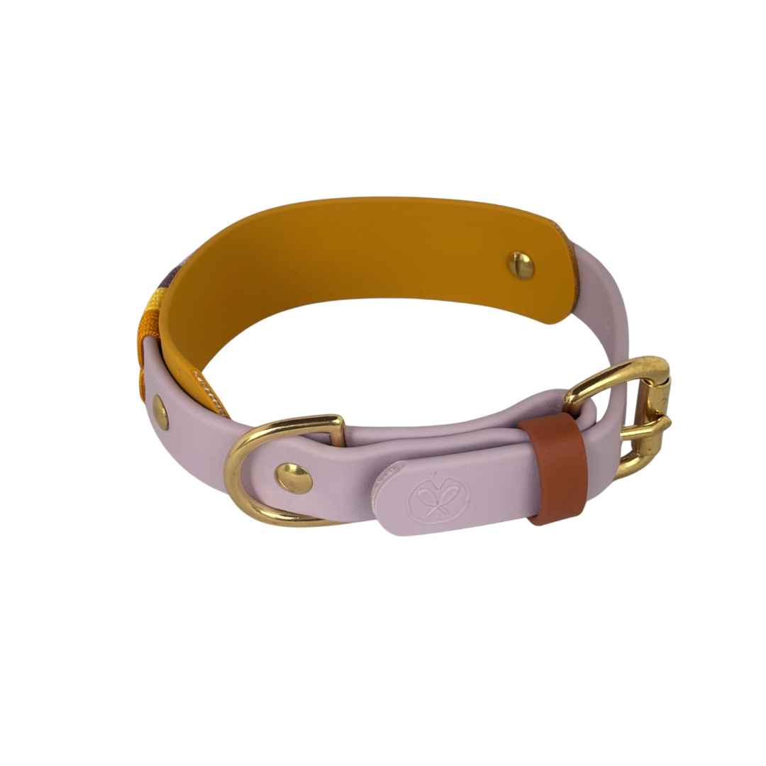 Collier Mealy - 1 po, et bande 1 po 1/2
