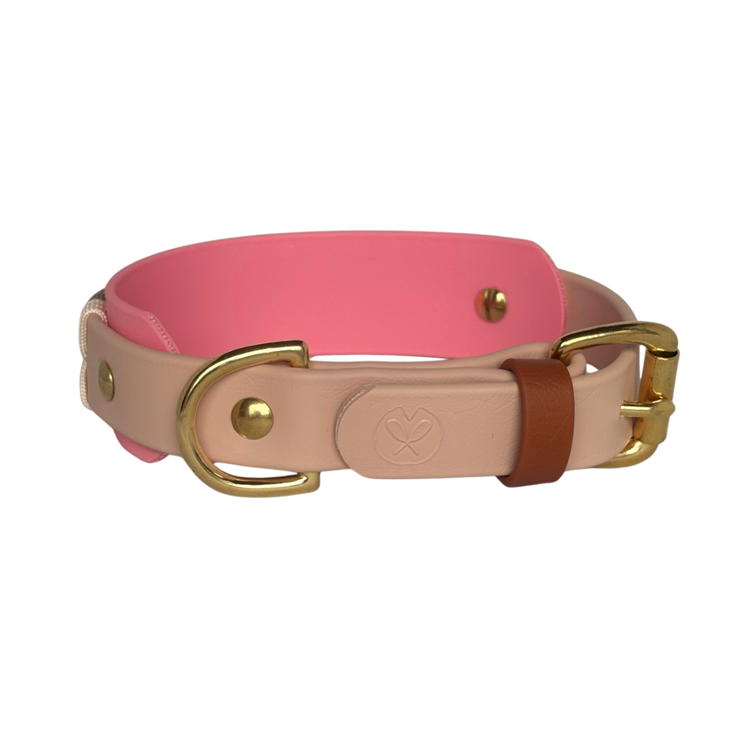 Collier Winslow - 1 po, et bande 1 po 1/2